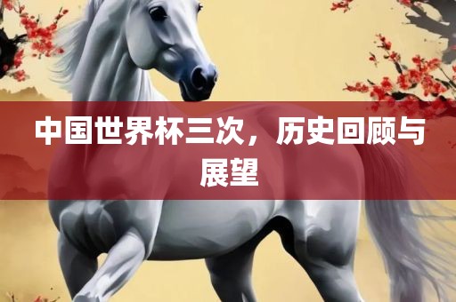 中国世界杯三次，历史回顾与展望漯河市盈旭机械设备有限公司