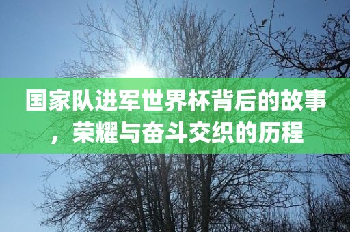 国家队进军世界杯背后的故事，荣耀与奋斗交织的历程漯河市盈旭机械设备有限公司