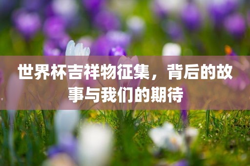 世界杯吉祥物征集，背后的故事与我们的期待漯河市盈旭机械设备有限公司