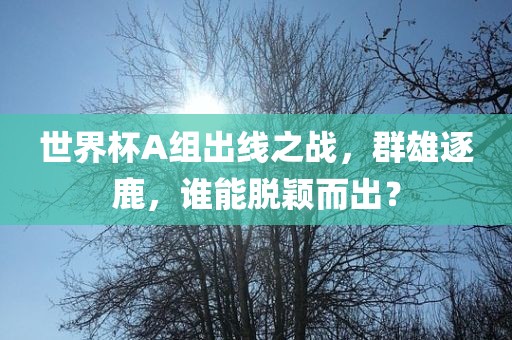 世界杯A组出线之战，群雄逐鹿，谁能脱颖而出？