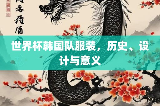 世界杯韩国队服装，历史、设计与意义漯河市盈旭机械设备有限公司