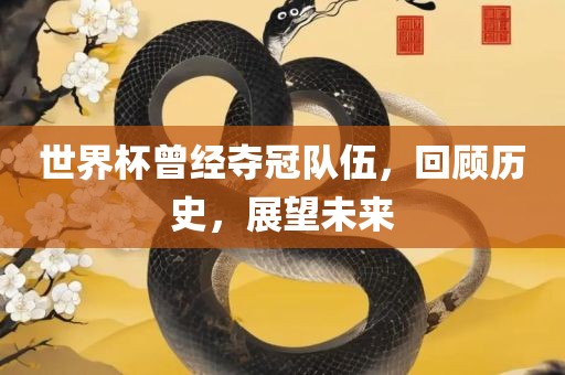 世界杯曾经夺冠队伍，回顾历史，展望未来