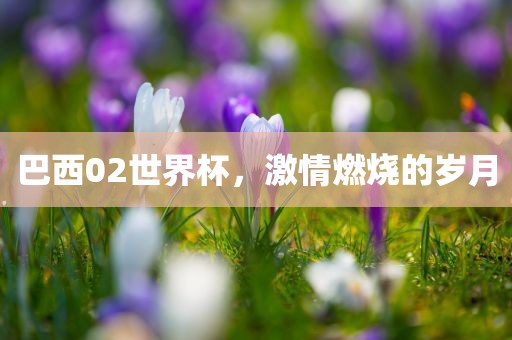 巴西02世界杯，激情燃烧的岁月