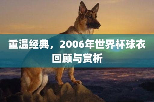 重温经典，2006年世界杯球衣回顾与赏析