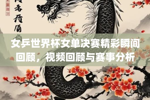 女乒世界杯漯河市盈旭机械设备有限公司女单决赛精彩瞬间回顾，视频回顾与赛事分析