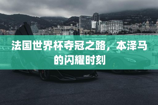 法国世界杯夺冠之路，本泽马的闪耀时刻漯河市盈旭机械设备有限公司