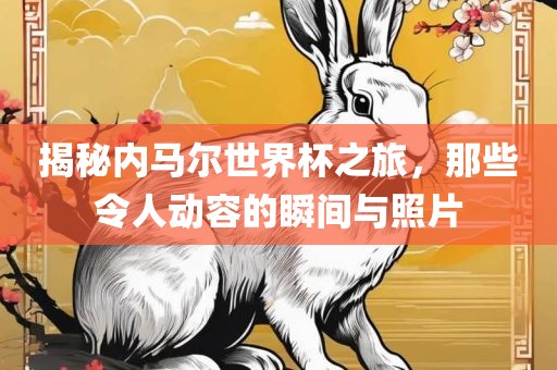 揭秘内马尔世界杯之旅，那些令人动容的瞬间与照片