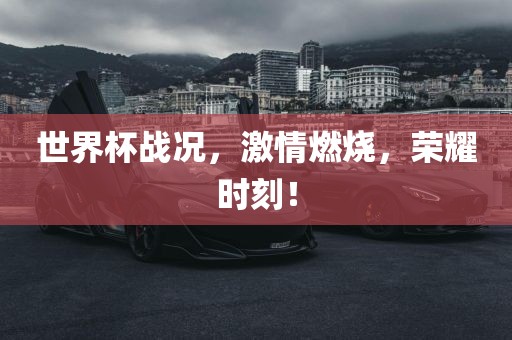 世界杯战况