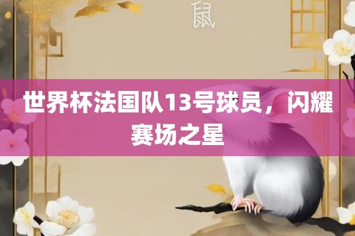 世界杯法国队13号球员，闪耀赛场之星