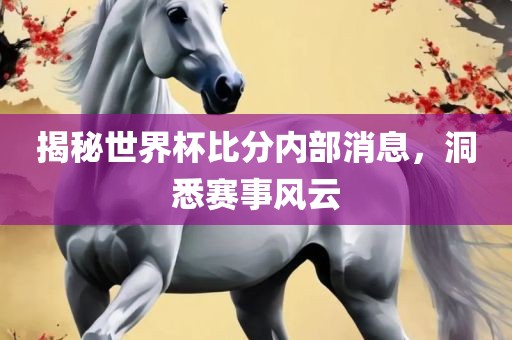 揭秘世界杯比分内部消息，洞悉赛事风云