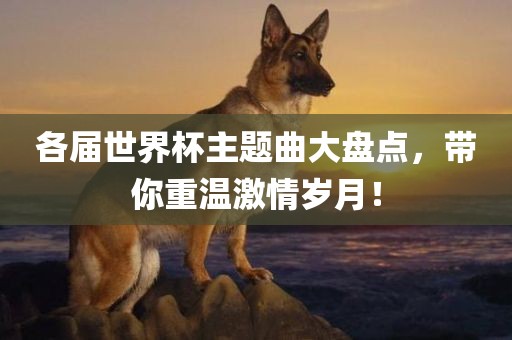 各届世界杯主题曲大盘点，带你重温激情岁月！漯河市盈旭机械设备有限公司