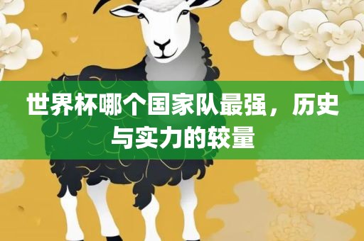 世界杯哪个国家队最强，历史与实力的较量