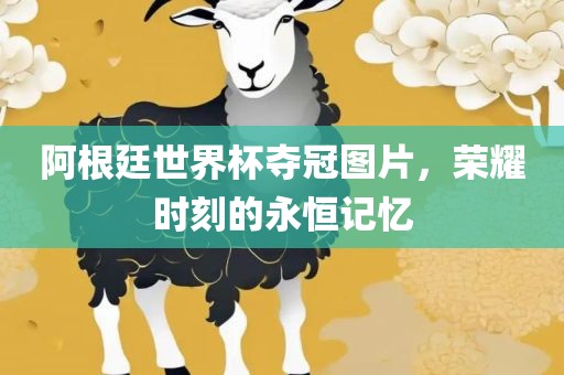 阿根廷世界杯夺冠图片，荣耀时刻的永恒记忆