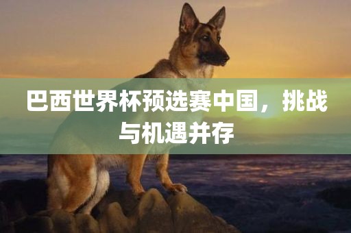 巴西世界杯预选赛中国，挑战与机遇并存