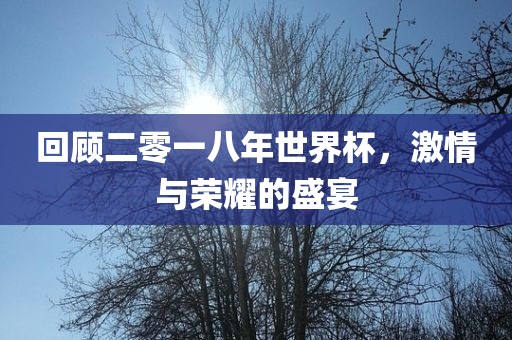 回顾二零一八年世界杯，激情与荣耀的盛宴
