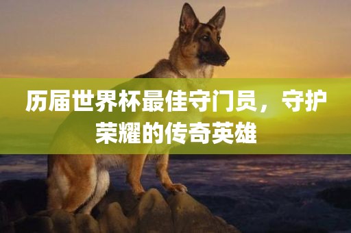 历届世界杯最佳守门员，守护荣耀的传奇英雄