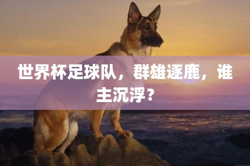 世界杯足球队，群雄逐鹿，谁主沉浮？