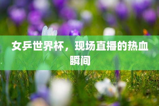 女乒世界杯，现场直播的热血瞬间漯河市盈旭机械设备有限公司