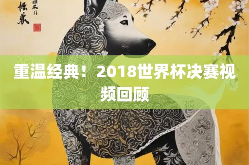 重温经典！2018世界杯决赛视频回顾