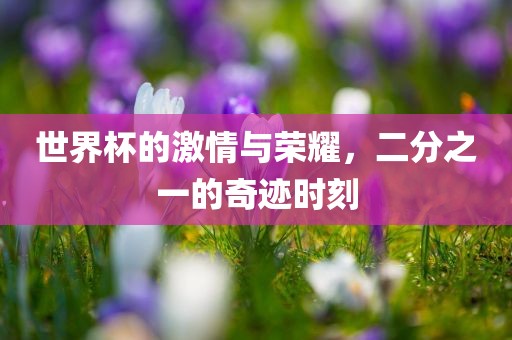 世界杯的激情与荣耀，二分之一的奇迹时漯河市盈旭机械设备有限公司刻