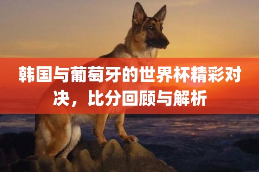 韩国与葡萄牙的世界杯精彩对决，比分回顾与解析