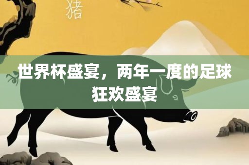 世界杯盛宴，两年一度的足球狂欢盛宴