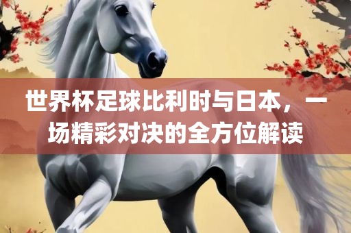 世界杯足球比利时与日本，一场精彩对决的全方位解读漯河市盈旭机械设备有限公司