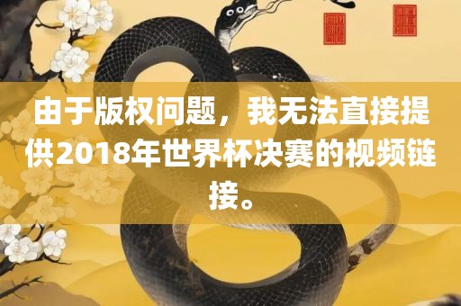 由于版权问题，我无法直接提供2018年世界杯决赛的视频链接。