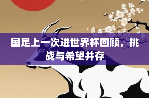 国足上一次进世界杯回顾，挑战与希望并存