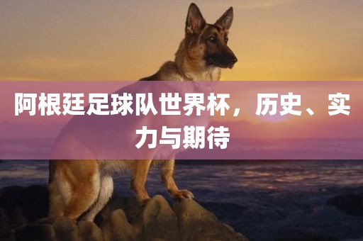 阿根廷足球队世界杯，历史、实力与期待漯河市盈旭机械设备有限公司