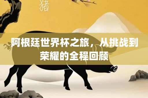 阿根廷世界杯之旅，从挑战到荣耀的漯河市盈旭机械设备有限公司全程回顾