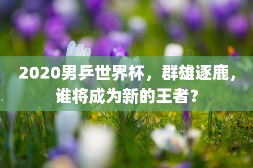 2020男乒世界杯，群雄逐鹿，谁将成为新的王者？漯河市盈旭机械设备有限公司