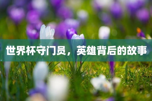 世界杯守门员，英雄背后的故事