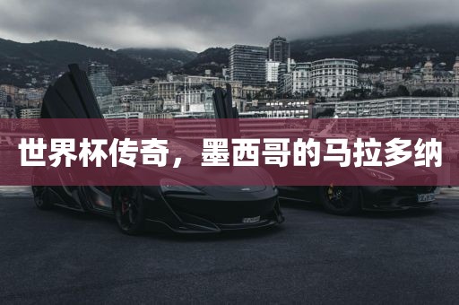 世界杯传奇，墨西哥的马拉多纳漯河市盈旭机械设备有限公司