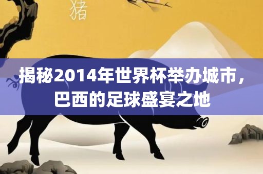 揭秘2014年世界杯举办城市，巴西的足球盛宴之地漯河市盈旭机械设备有限公司