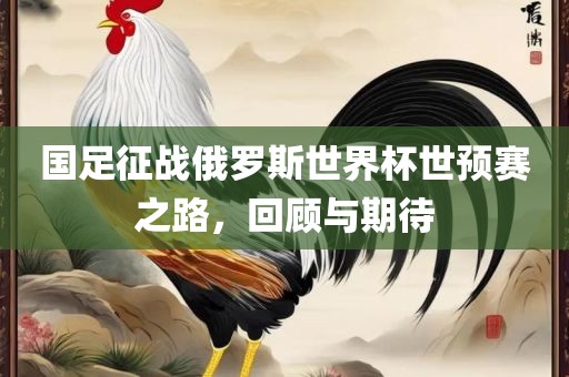 国足征战俄罗斯世界杯世预赛之路，回顾与期待漯河市盈旭机械设备有限公司