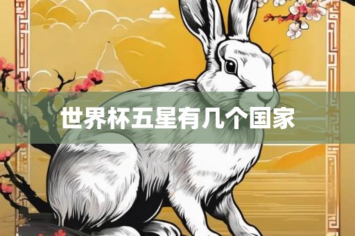 世界杯五星有几个国家漯河市盈旭机械设备有限公司