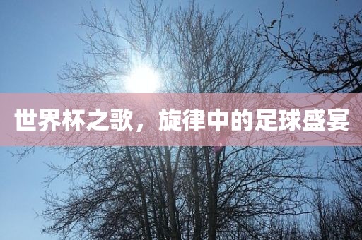 世界杯之歌，旋律中的足球盛宴