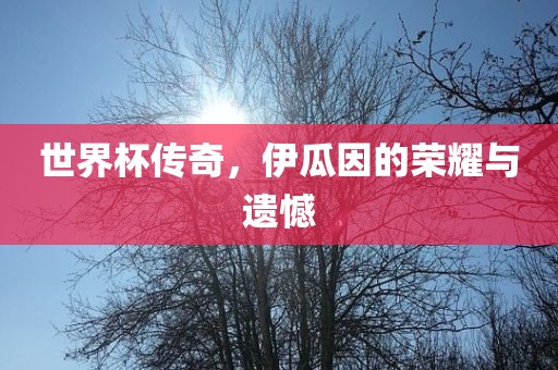 世界杯传奇，伊瓜因的荣耀与遗憾