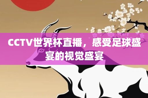 CCTV世界杯直播，感受足球盛宴的视觉盛宴