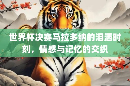 世界杯决赛马拉多纳的泪洒时刻，情感与记忆的交织