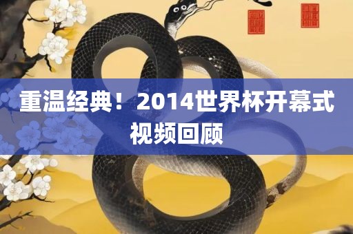 重温经典！2014世界杯开幕式视频回顾