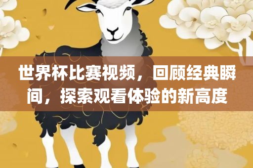 世界杯比赛视频，回顾经典瞬间，探索观看体验的新高度漯河市盈旭机械设备有限公司