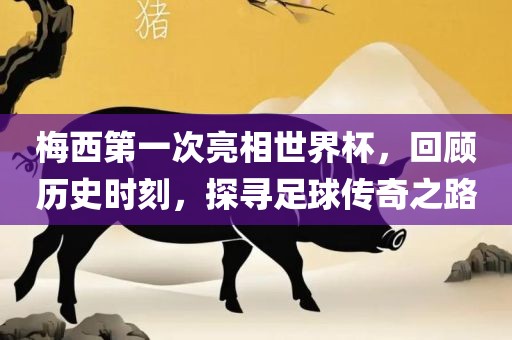 梅西第一次亮相世界杯，回顾历史时刻，探寻足球传奇之路