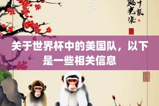 关于世界杯中的美国队，以下是一些相关信息