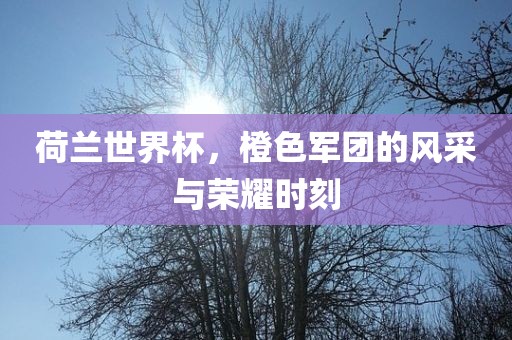 荷兰世界杯，橙色军团的风采与荣耀时刻漯河市盈旭机械设备有限公司