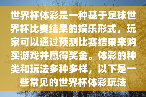 世界杯体彩是一种基于足球世界杯比赛结果的娱乐形式，玩家可以通过预测比赛结果来购买游戏并赢得奖金。体彩的种类和玩法多种多样，以下是一些常见的世界杯体彩玩法