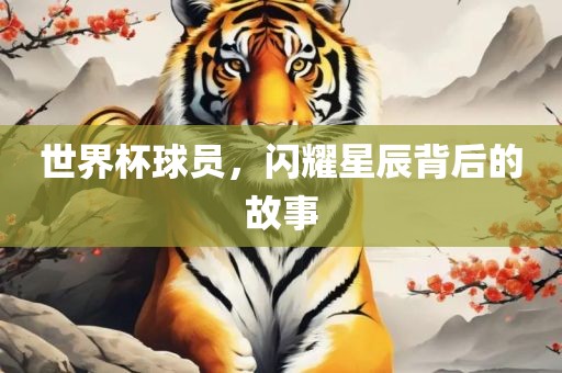 世界杯球员，闪耀星辰背后的故事