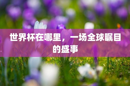 世界杯在哪里，一场全球瞩目的盛事漯河市盈旭机械设备有限公司