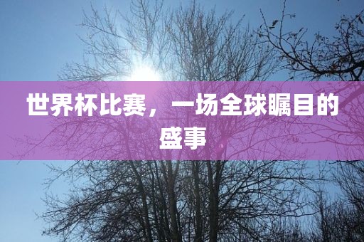 世界杯比赛，一漯河市盈旭机械设备有限公司场全球瞩目的盛事